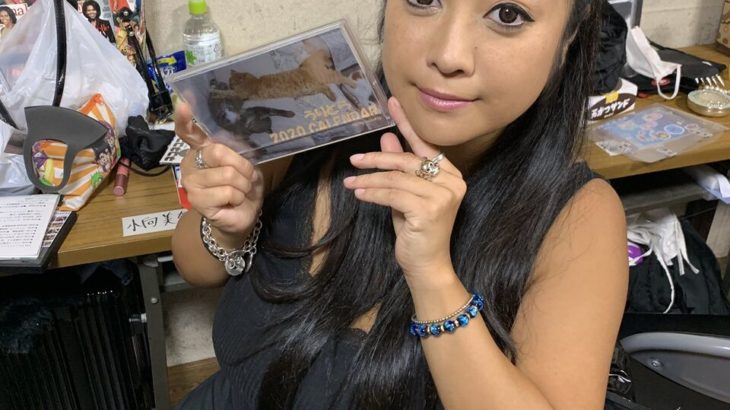 小向美奈子、逮捕3度の波乱人生　特集番組が出所から8年の現在を追跡