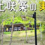 井上咲楽、実家動画が164万再生突破！ファンから絶賛の声続々