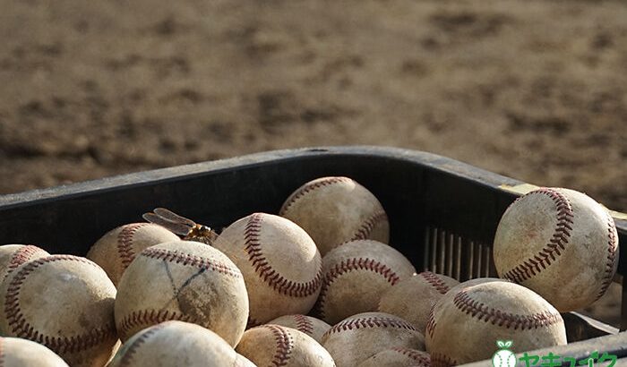 【高校野球】高野連硬式加盟校19年連続減少の３７９８校、部員も10年連続減