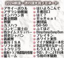 【流行語大賞】ノミネート30語発表！「50－50」「裏金問題」「ふてほど」など