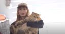 【芸能】中川翔子、「猫111頭を助けて」多頭飼育崩壊現場から緊急の呼びかけ　里親、一時預かり、ボランティア、物資支援などを募集