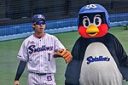 つば九郎の体調不良に伴う活動見合わせ：ファンへの影響とは？