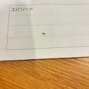 【社会】これひょっとして、印刷されちゃってる？　学校から配布されたプリントが悲哀「合掌」「ある意味貴重」