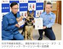 【兵庫】警官が探せなかった行方不明男性、警察犬が1時間で発見 「サージェリー号」に感謝状